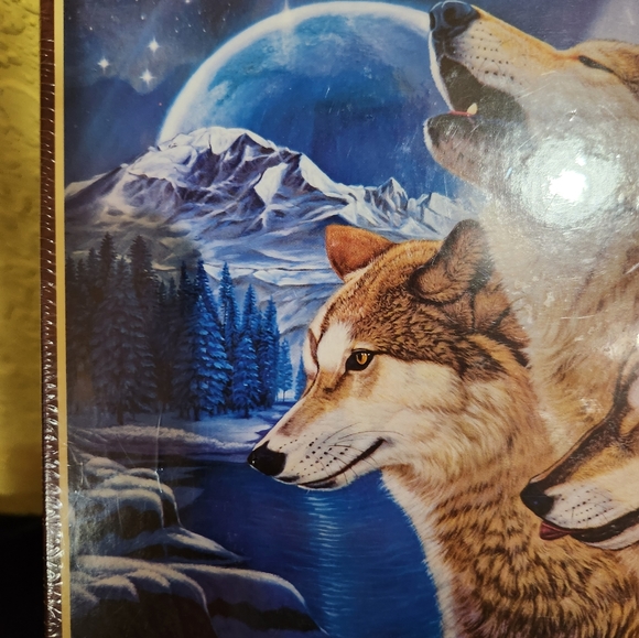 Puzzle - Picture 6 of 8